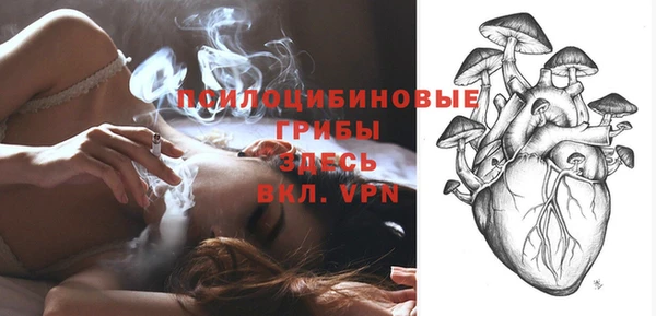 PSILOCYBIN Белоозёрский